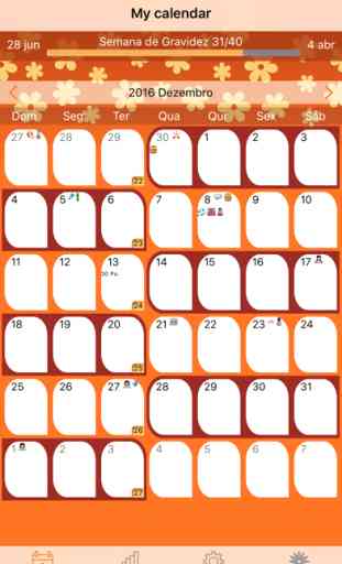 WomanLog Pregnancy Calendar 1