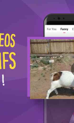 BuzzHunt Video – Viral Videos & Funny GIFs 1