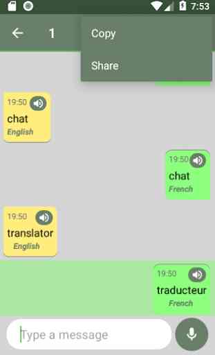 Chat Translator 4