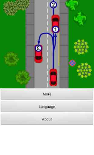 Driver Test: Parking 4