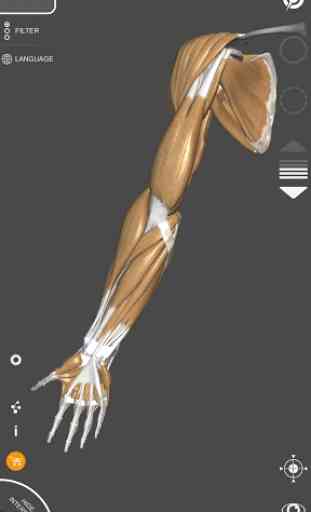 Anatomia 3D para artistas 3