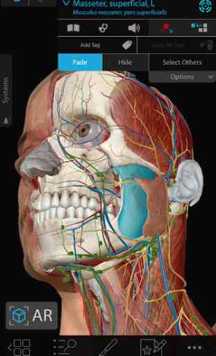 Human Anatomy Atlas 2020: Complete 3D Human Body 1