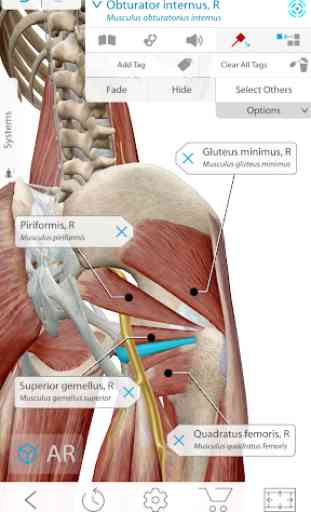 Human Anatomy Atlas 2020: Complete 3D Human Body 2