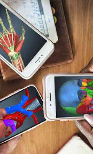 Anatomy Learning – Atlas de anatomia 3D 1
