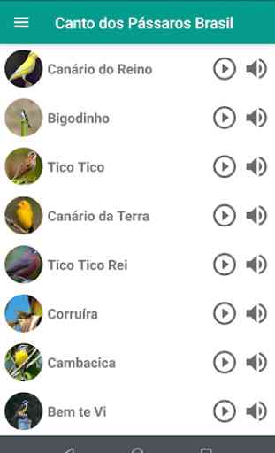 Canto Dos Pássaros Brasil 2