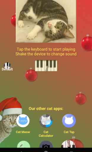 Cat Piano 3