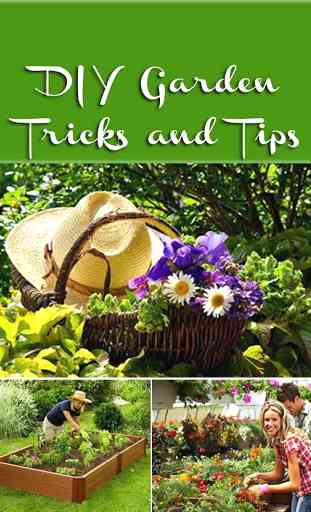 DIY Gardening Tips 1