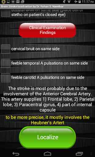 Neurology- Stroke localization 3