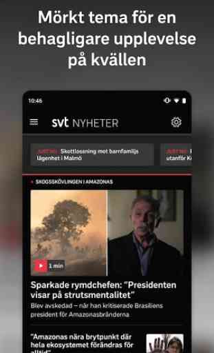 SVT Nyheter 2