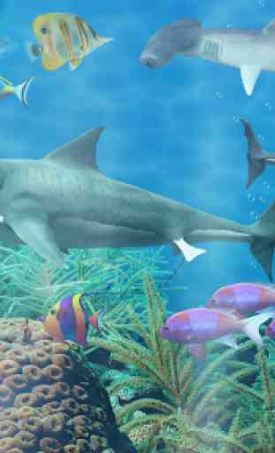 Tubarão aquário live wallpaper 1