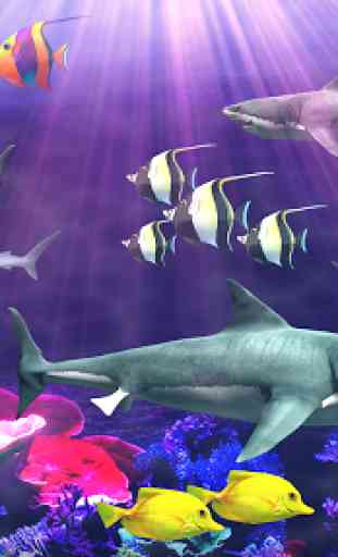 Tubarão aquário live wallpaper 2