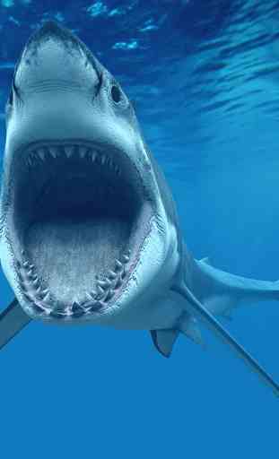 Tubarões Papel De Parede 1