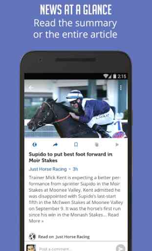 Horse Racing News - SF 4