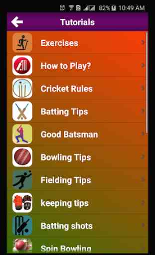Treinamento de cricket 4