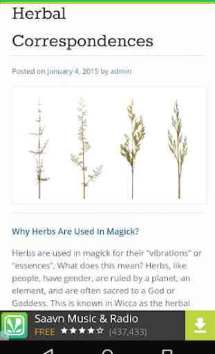 81 Herbs Healing and Magick 2