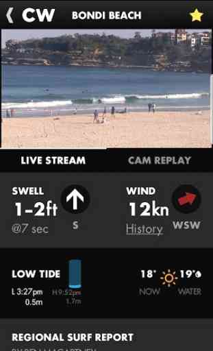 Coastalwatch Surf Check 1