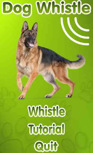 Dog Whistle, Trainer 2019 1