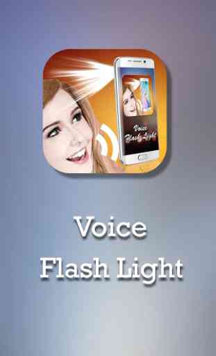 Voz Flashlight 1