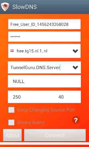 VPN Over DNS  Tunnel : SlowDNS 1