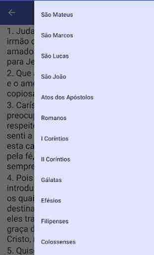Bíblia Ave Maria (Português) 2