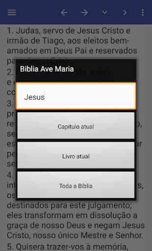 Bíblia Ave Maria (Português) 3