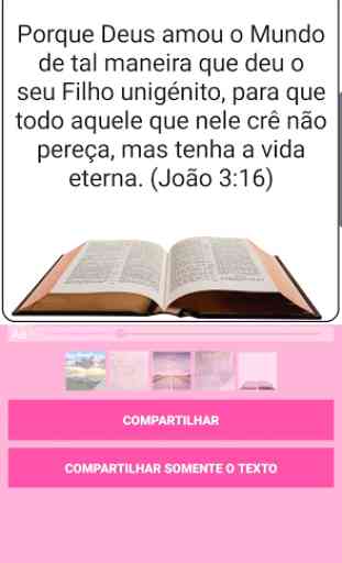 Bíblia para Mulher MP3 2