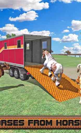 cavalo Stunts truck transport 1