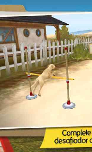 DogHotel – Brinque com cães e gerencie canis 2