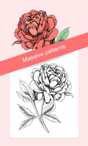 Flowers Coloring Books 2