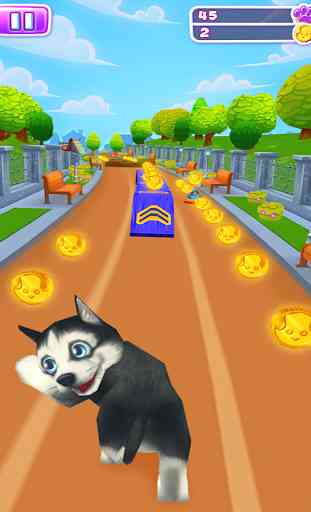 Pet Run - Puppy Dog Game 3