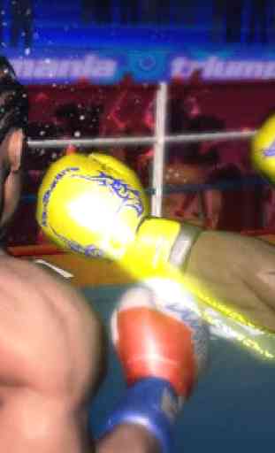 Rei Boxe - Punch Boxing 3D 2