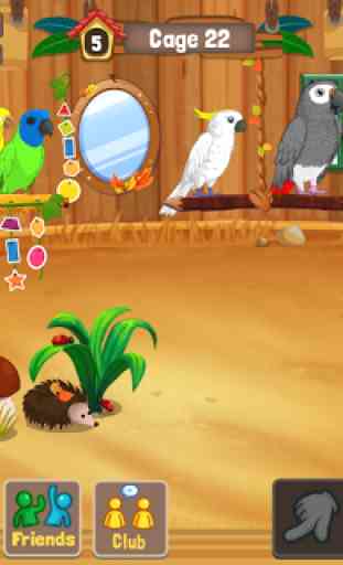Bird Land: Loja de Animais, Jogue com Pássaro 3