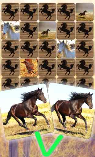 Cavalos Jogos de Puzzel 1