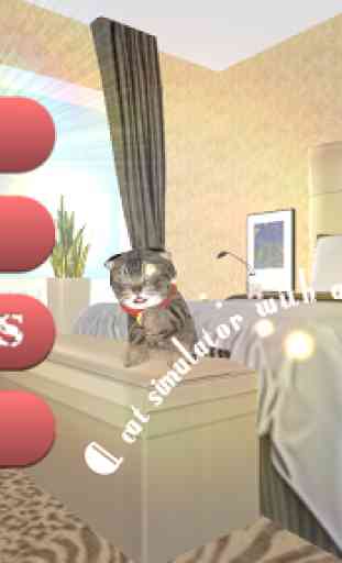simulador Gato real 1