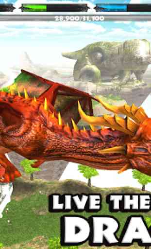 World of Dragons: Simulator 1