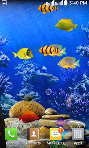 Fishes Live Wallpaper 2020 - Aquarium Koi Bgs 1