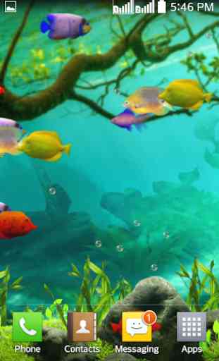 Fishes Live Wallpaper 2020 - Aquarium Koi Bgs 2