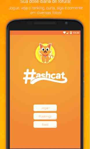Hashcat - Rede social de gatos 1