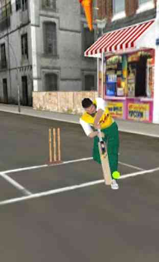 Street Cricket 2