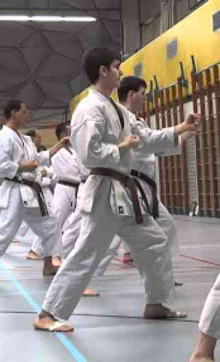 Treinamento De Karate 2