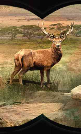 Deer Hunting - Sniper Tiro 2