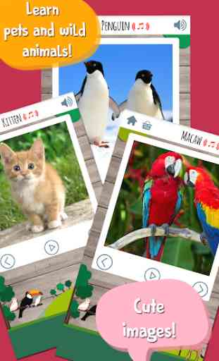 Kids Zoo Game: Educational games for toddlers 2
