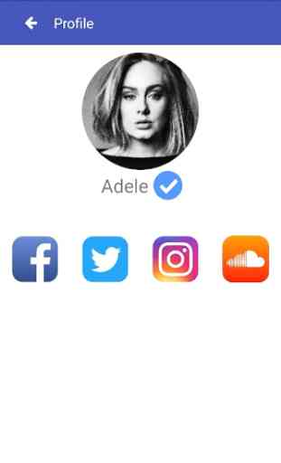Verified badge on Instagram, Twitter and Facebook 2