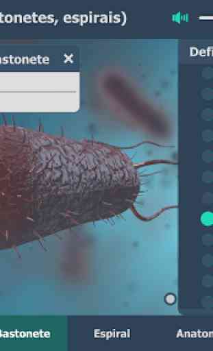 Bactérias 3D educacional interativo RV 2