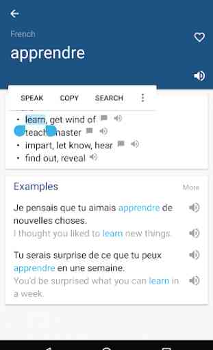 French English Dictionary & Translator Free 2