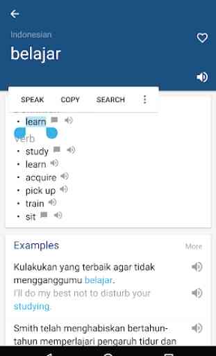 Indonesian English Dictionary & Translator Free 2