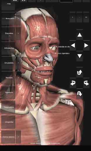 Introdução à Anatomia Humana 2