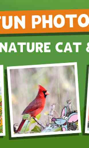 Nature Cat's Great Outdoors 4