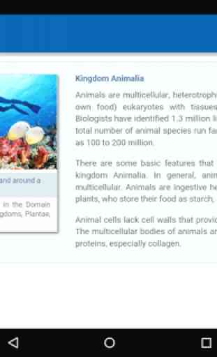 Kingdom Animalia 2