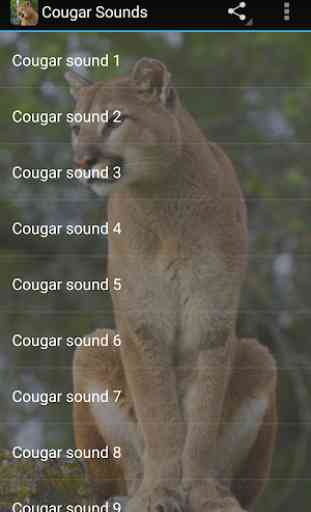 Cougar Sounds 3